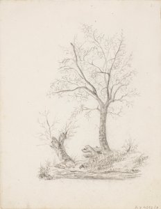 Bäume