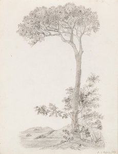 Bäume von Victoria Åberg
