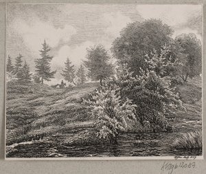 Hügel bei einem Moor