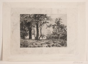 Eichen am Waldrand