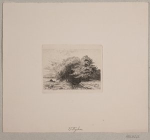 Waldrand