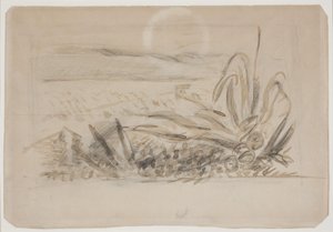 Landschaft mit Agave. Südfrankreich