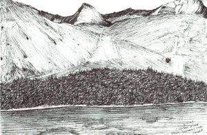 Causey Pike von Vincent Alexander Booth