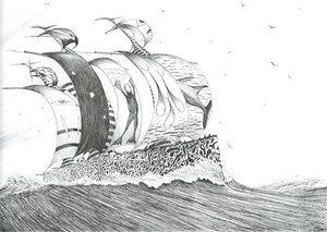 Sturmerschaffer Cape Henlopen, 2024