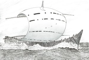 Sturmerschaffer Carpentaria, 2023
