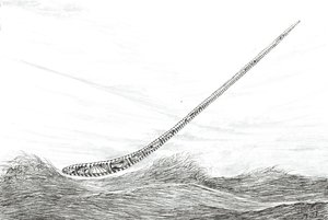Sturmerschaffer Lake Mweru