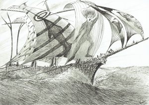 Sturmerschaffer Nordwestkap, 2022 von Vincent Alexander Booth