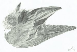 Flügel