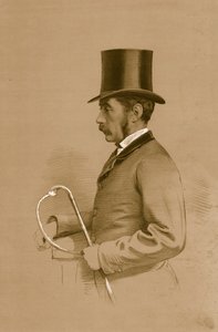 Der Earl of Zetland, 1879 von Vincent Brooks Day and Son