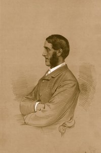 Der ehrenwerte W.H.B. Portman. M.P., 1879 von Vincent Brooks Day and Son