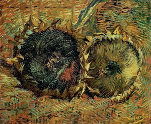 Zwei geschnittene Sonnenblumen