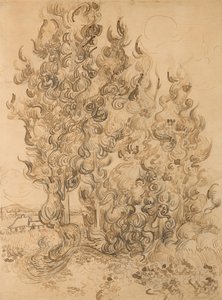 Zypressen von Vincent van Gogh