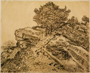 Der Felsen von Montmajour mit Pinien