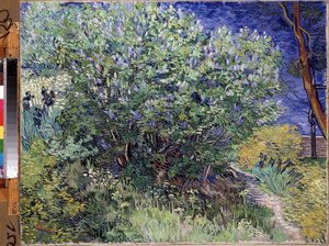 Der Fliederbusch von Vincent van Gogh