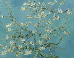Mandelblüte von Vincent van Gogh