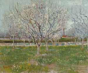 Obstgarten in Blüte (Pflaumenbäume) von Vincent van Gogh