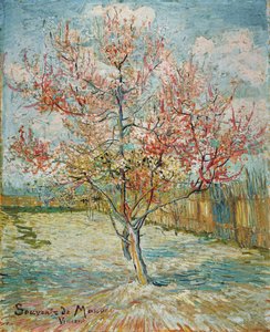 Rosa Pfirsichbäume (Erinnerung an Mauve) von Vincent van Gogh