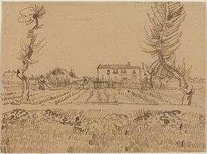  von Vincent van Gogh