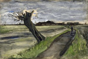 Kopfweide