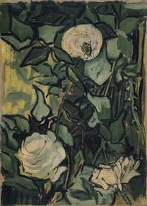 Rosen von Vincent van Gogh