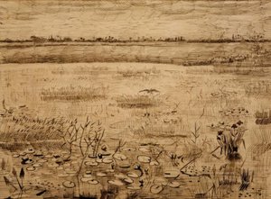 Sumpflandschaft mit Wasserlilien von Vincent van Gogh
