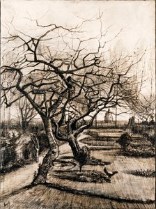 Der Pfarrgarten in Nuenen im Winter von Vincent van Gogh