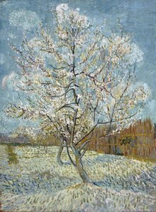 Der rosa Pfirsichbaum