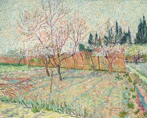 Obstgarten mit Zypressen