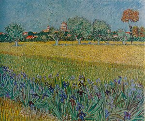 Ansicht von Ales mit blühenden Iris, 1888