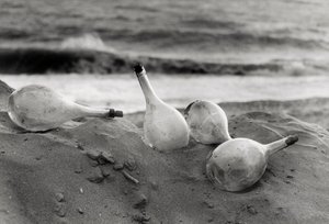 Flaschen am Strand von Vincenzo Balocchi