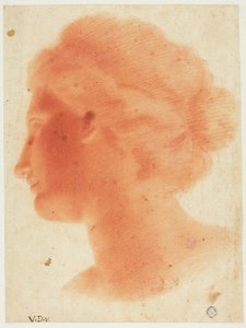 Kopf der Venus von Medici von Vincenzo Dandini