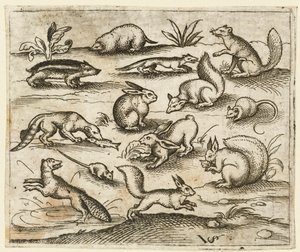 Gruppe kleiner Waldtiere, die um einen Teich essen und herumlaufen, einschließlich einer Maus, 1557