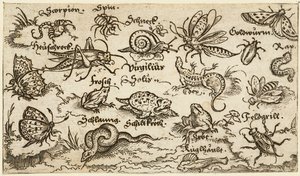 Insekten, Reptilien, Schnecken und Fische auf minimalem Grund mit Wasser im Vordergrund