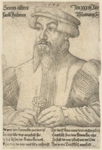 Porträt von Jakob Baumann von Virgil Solis