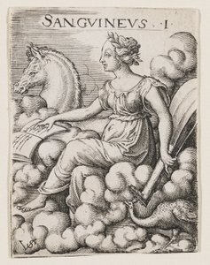 Sanguinisches Temperament