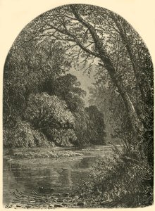 Moosinseln in der Juniata, 1874