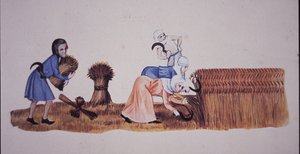 Mittelalterliche Frauen bei der Getreideernte, nach einer Szene aus dem Luttrell Psalter