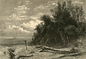 Das Ufer am Lake Forest, 1874 von W. J. Linton