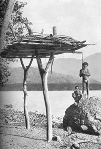 Totenplattform in Neuguinea, 1902 von W. Lindt