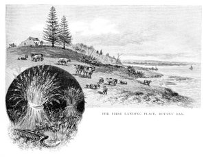 Der erste Landeplatz, Botany Bay, New South Wales, Australien, 1886