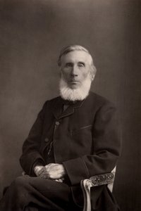 John Tyndall (1820-1893) irisch-britischer Physiker von W. and D. (after) Downey
