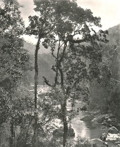 Ansicht des Kelani-Flusses, Kurunegala, Ceylon, 1895