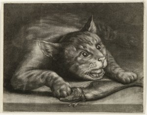 Katze mit einem Fisch