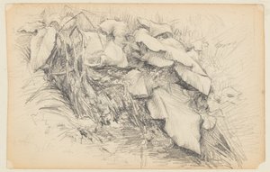 Studie von Gras und Pflanzen