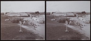 Old Sarum, Salisbury, Wiltshire von Walter Edward Zehetmayr