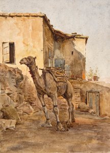 Angebundener Kamel von Walter Frederick Roofe Tyndale