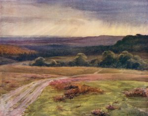 Der New Forest: Boldrewood Walk, Puck Pitts, von der Fritham Straße von Walter Frederick Roofe Tyndale
