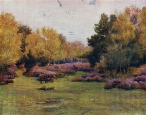 Der New Forest: Rushpole Wood, Lyndhurst von Walter Frederick Roofe Tyndale
