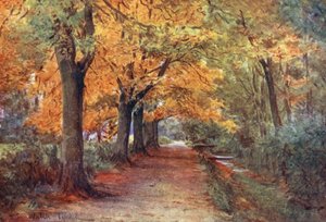 Wessex: Bockhampton Bank, in der Nähe von Dorchester von Walter Frederick Roofe Tyndale