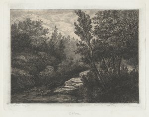 Selva (Wälder) von Walter Teodoro Bosio